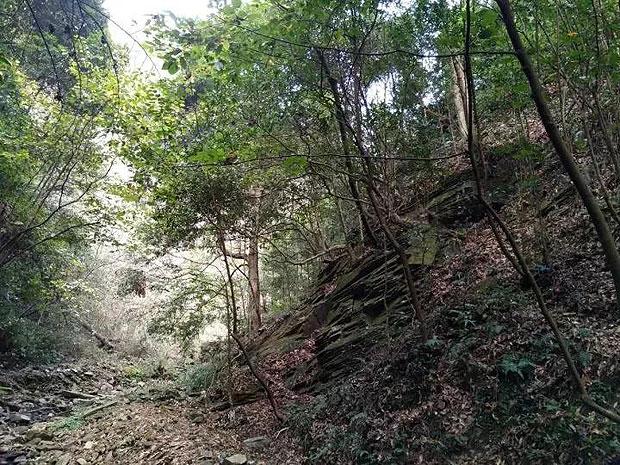 球球大作战下载最新版